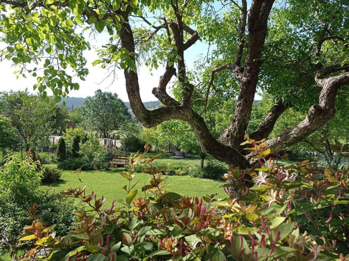 Villa Prolet General-Kantardzhievo Dış mekan fotoğraf